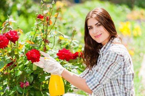 Inspector reviewing garden maintenance records
